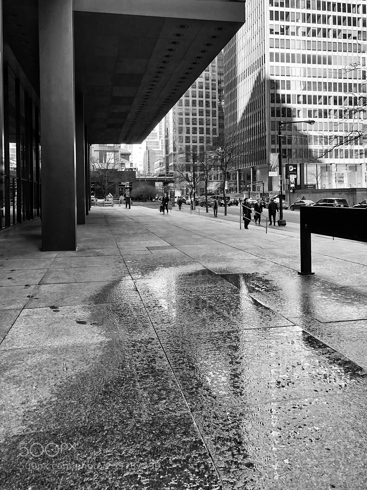 Apple iPhone 8 sample photo. Untitled photography