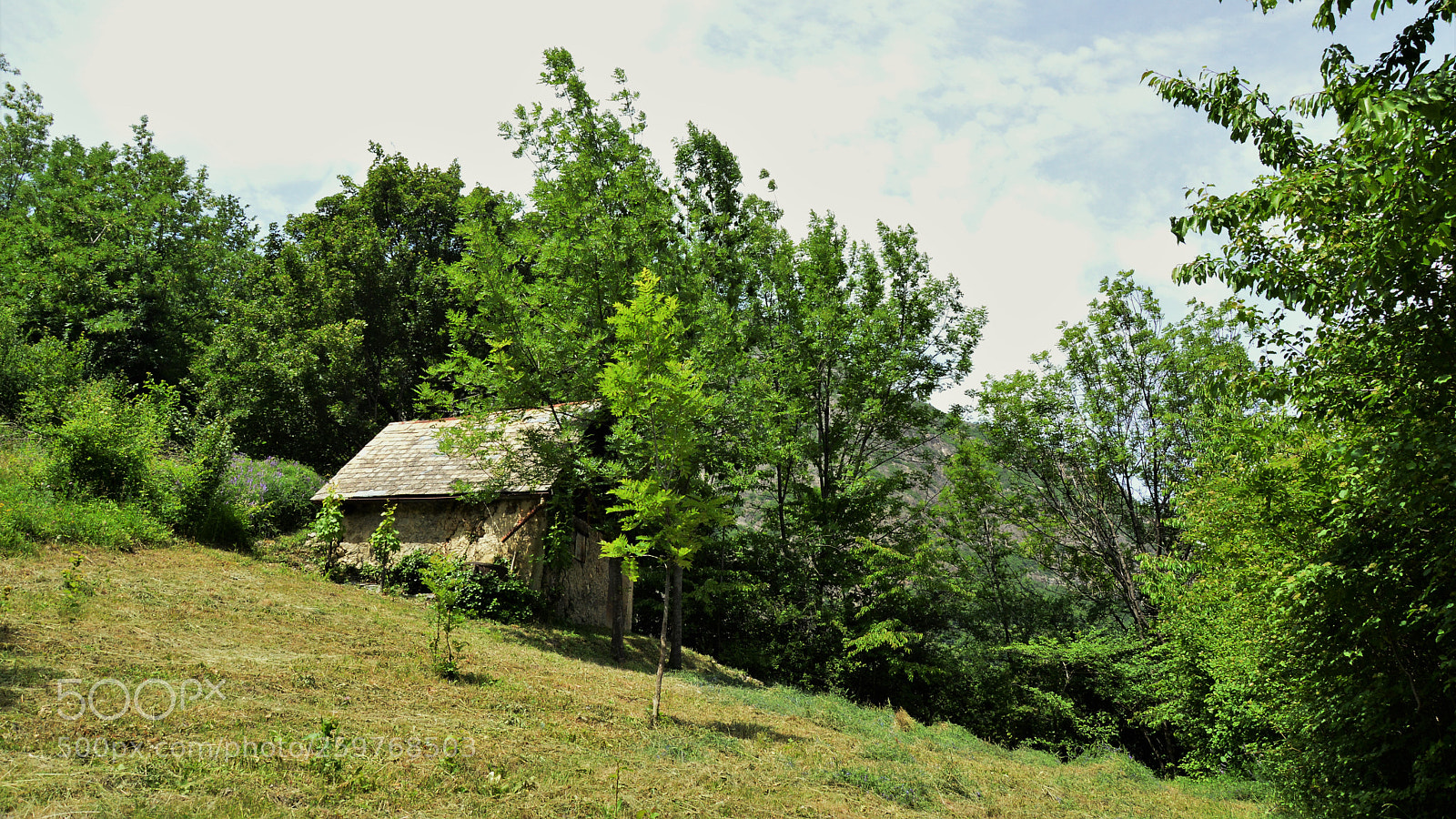 Nikon D3200 sample photo. Untitled photography