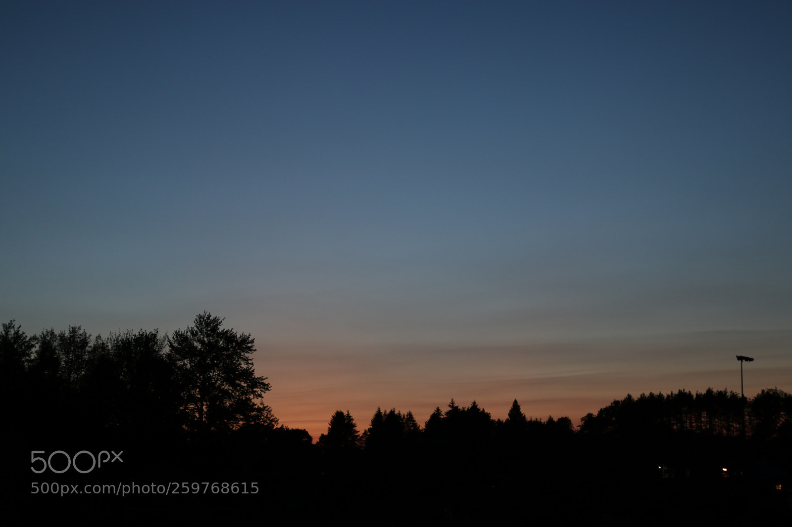 Canon EOS 80D sample photo. Park sky 2 photography