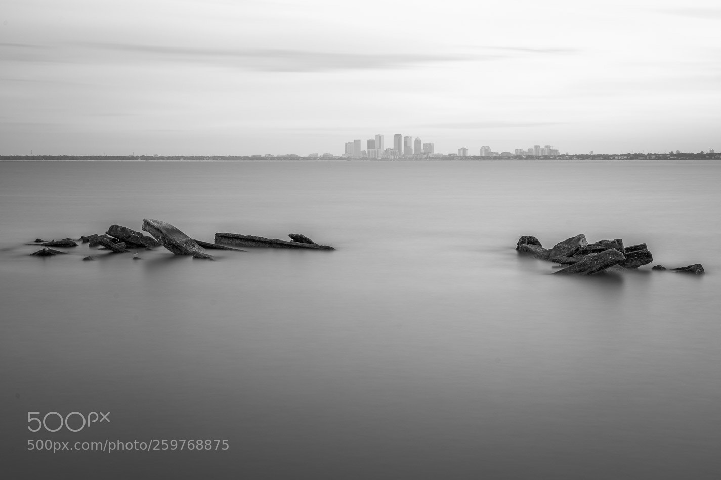 Sony a7 II sample photo. Ballast point park photography