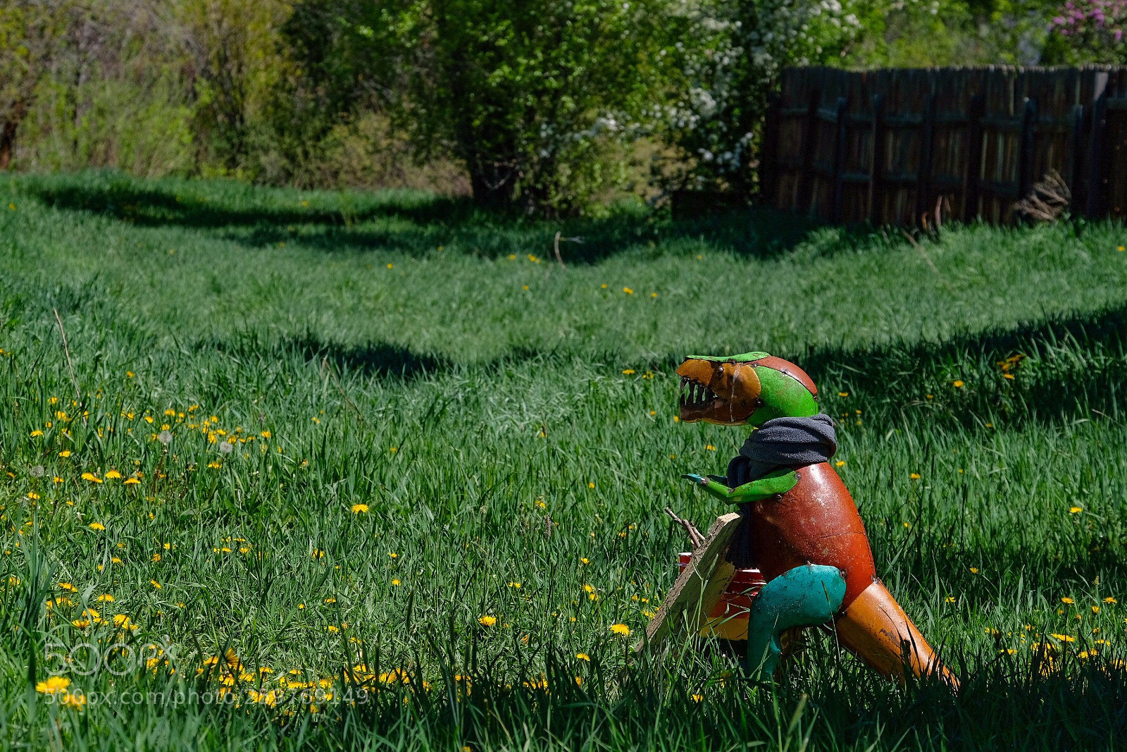 Fujifilm X-H1 sample photo. Dino photography