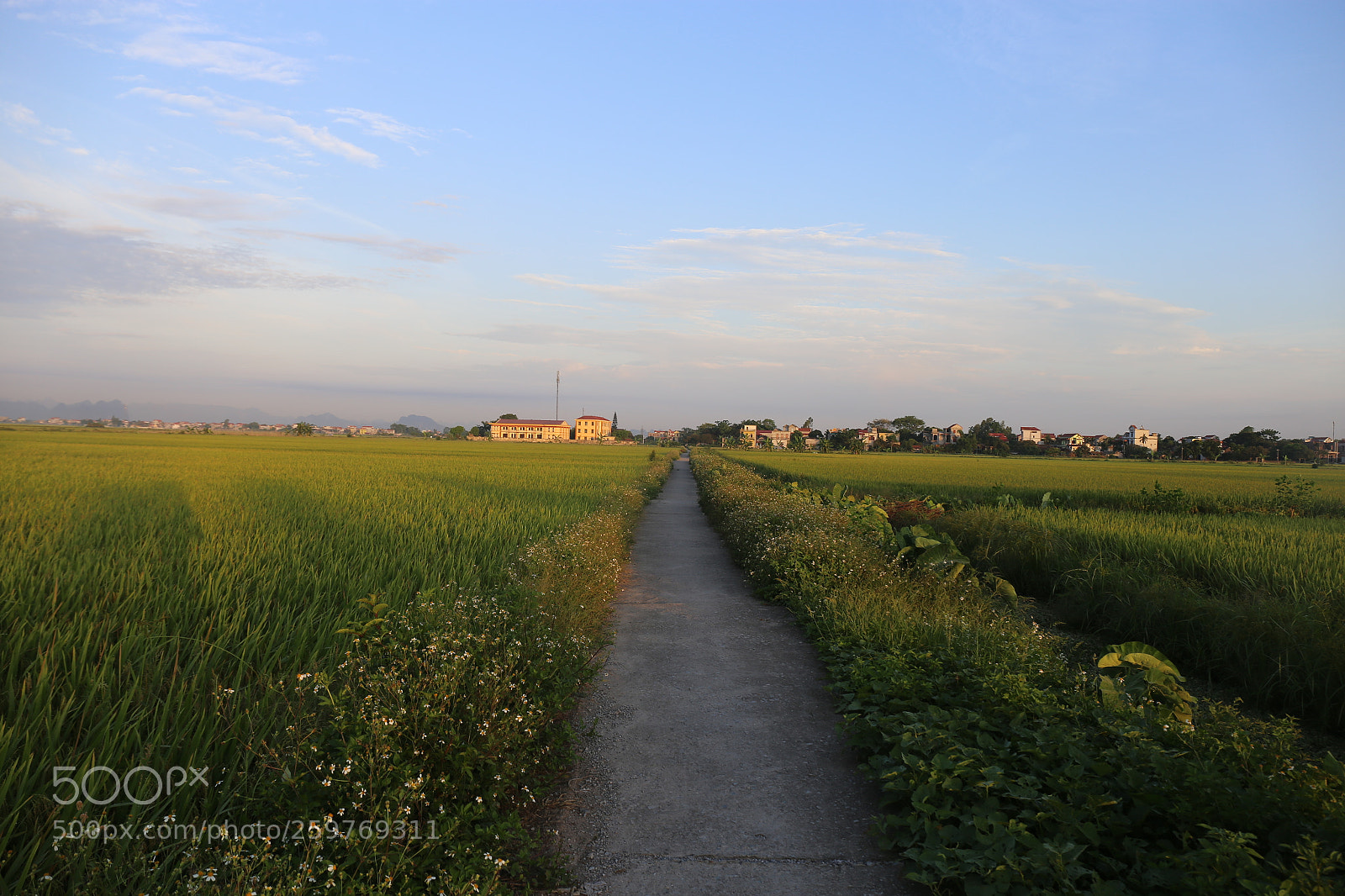 Canon EF 24-70mm F4L IS USM sample photo. Bình minh photography
