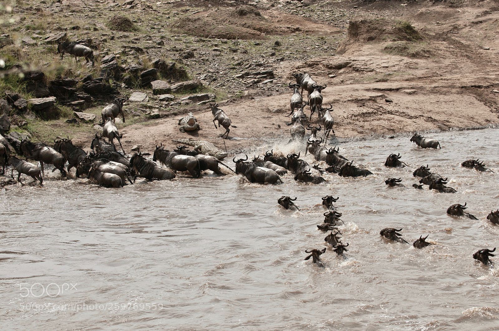 Nikon D300 sample photo. The crossing and the photography