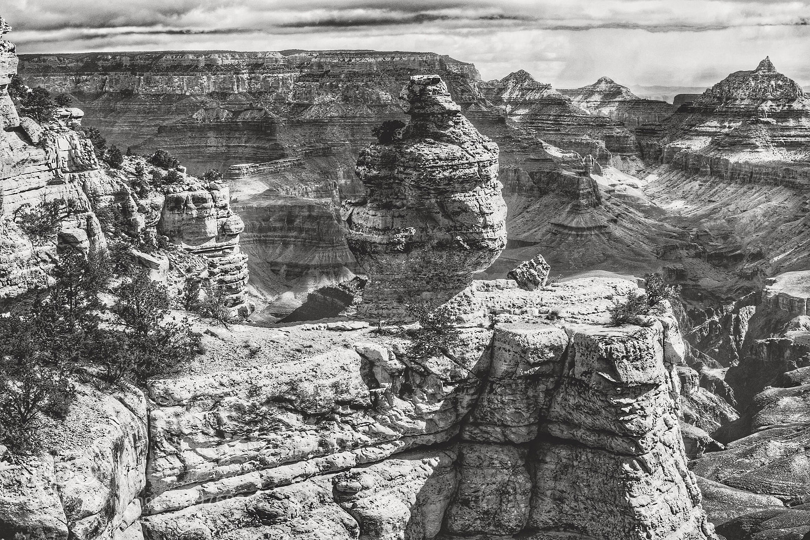 Nikon D800 sample photo. Untitled photography