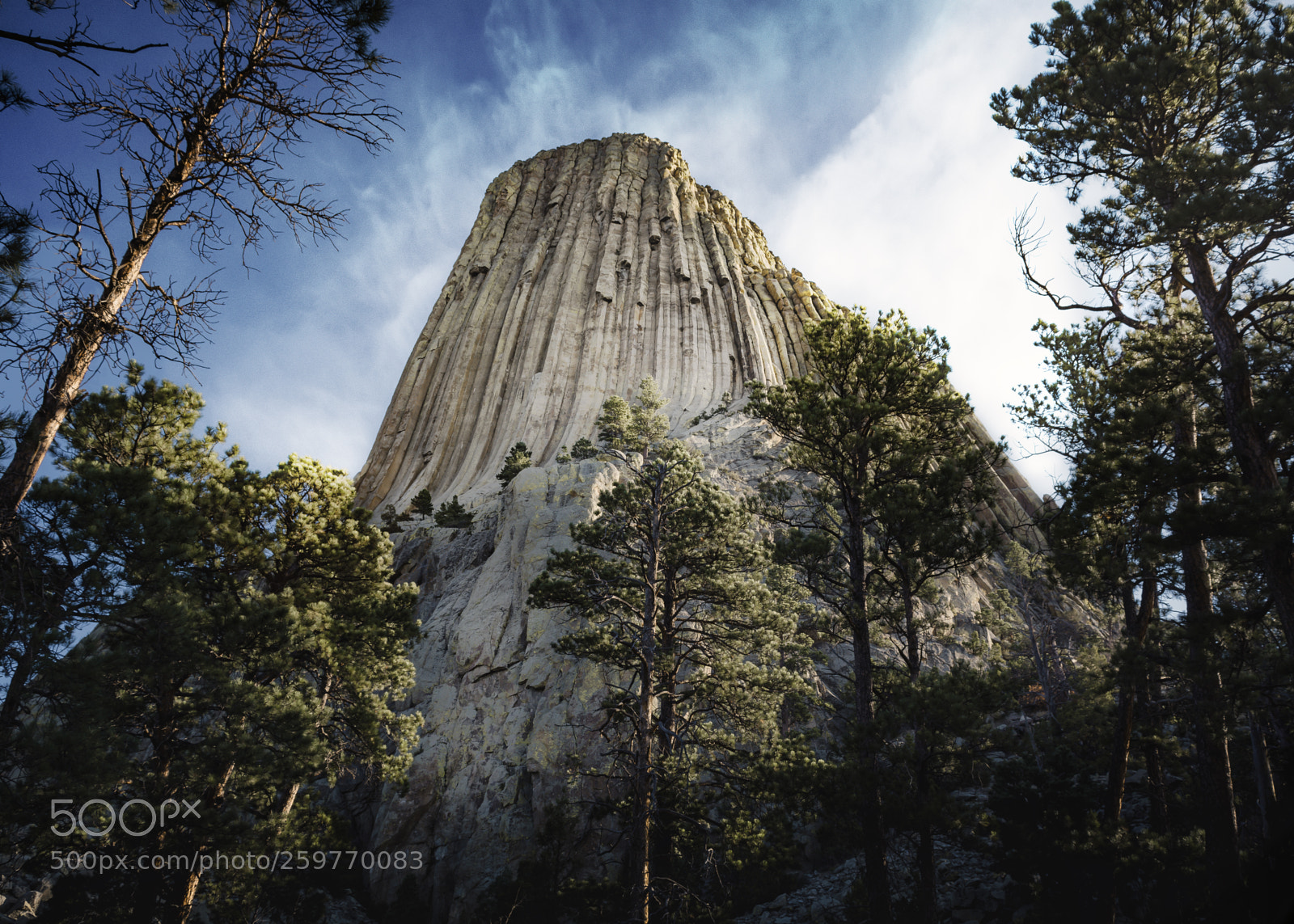 Nikon D7100 sample photo. Devils tower photography
