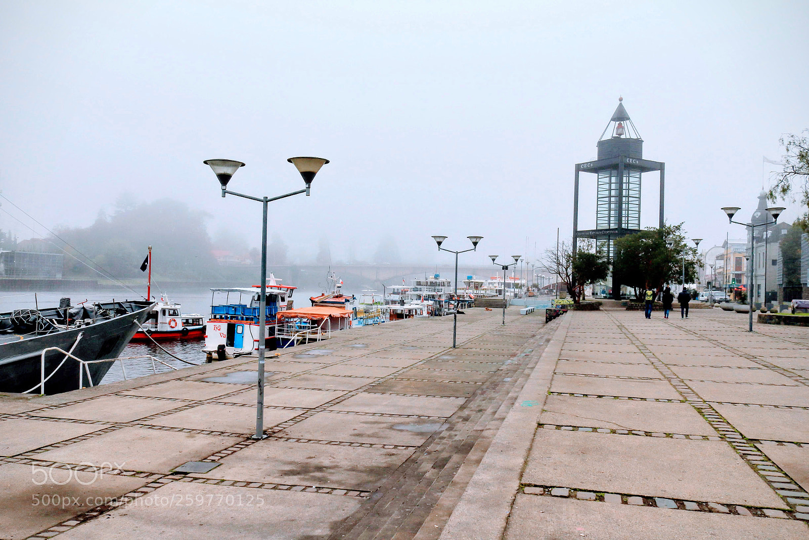Canon EOS 1200D (EOS Rebel T5 / EOS Kiss X70 / EOS Hi) sample photo. Walking early morning photography