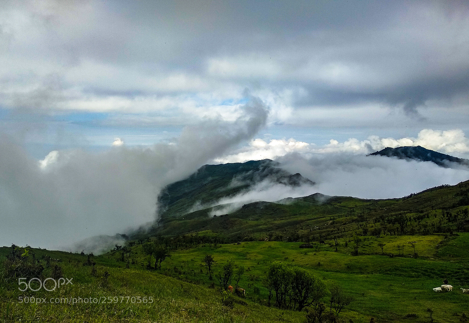 Xiaomi Mi A1 sample photo. Sound of fog photography