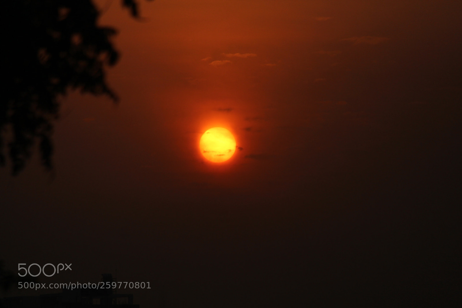 Canon EF-S 55-250mm F4-5.6 IS II sample photo. Untitled photography
