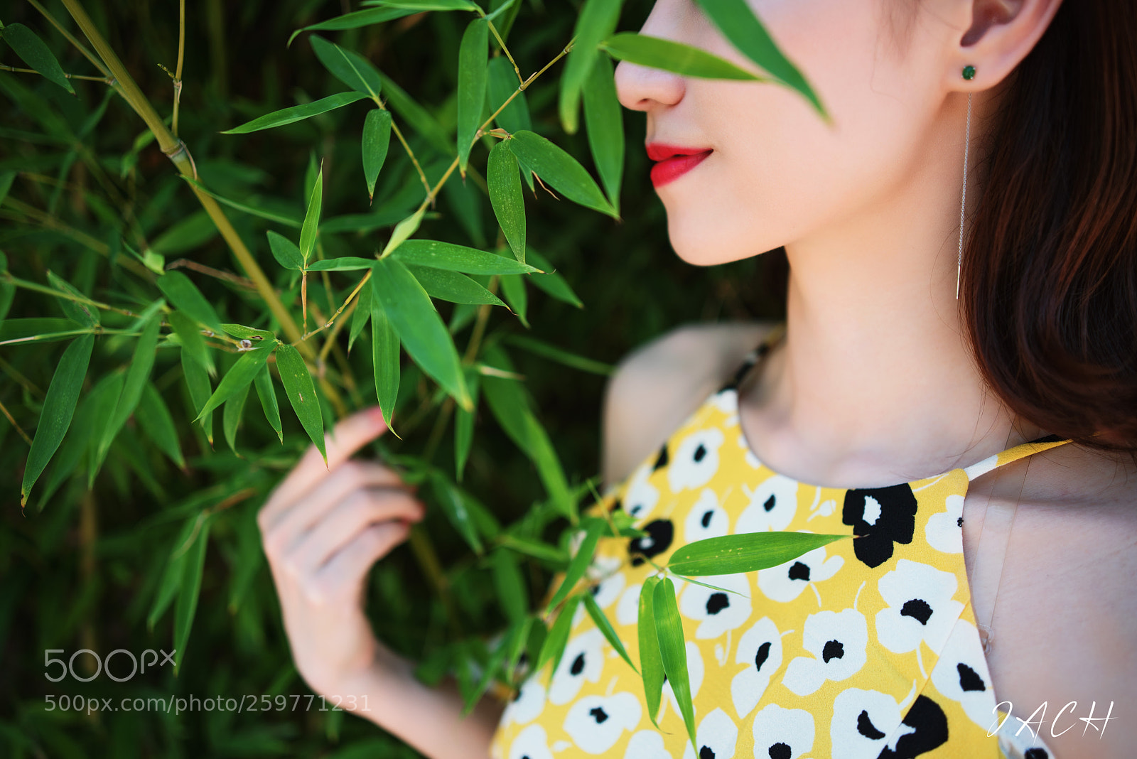 Nikon D750 sample photo. 拷贝 photography