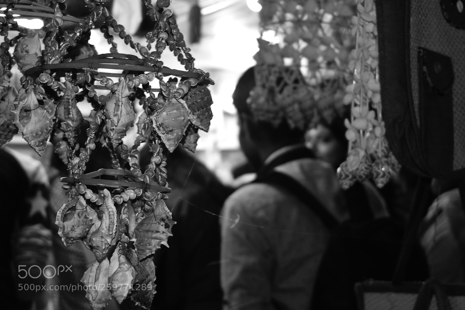 Nikon D3400 sample photo. In focus photography