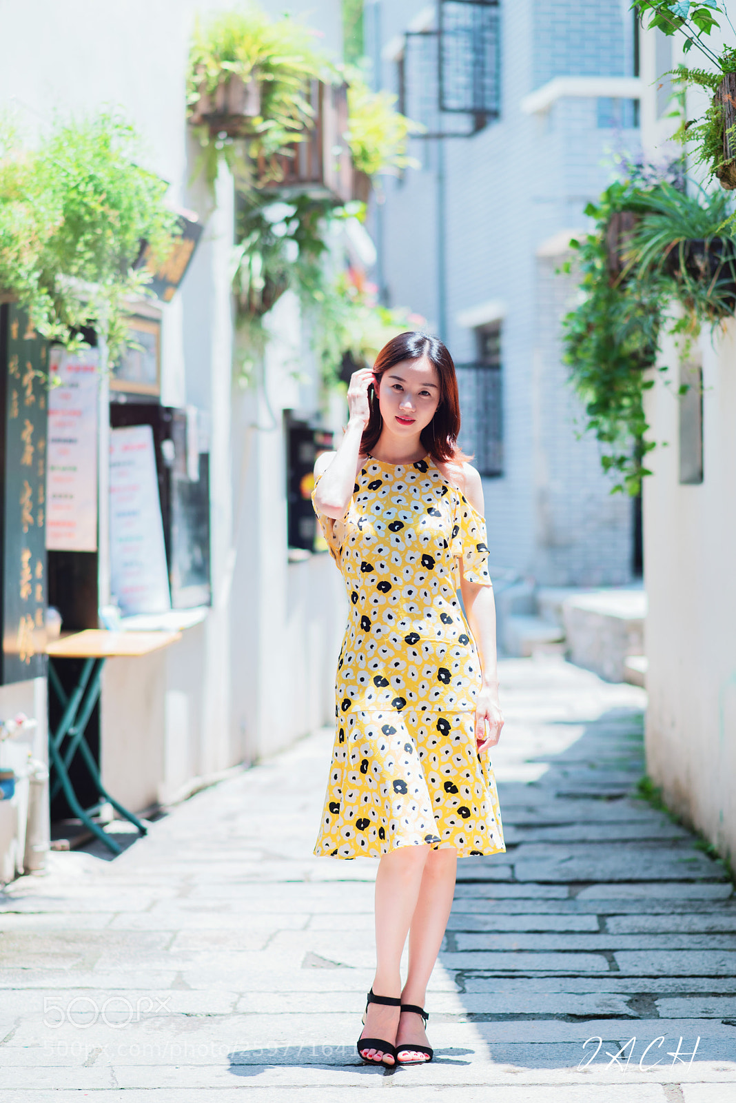 Nikon D750 sample photo. 拷贝 photography