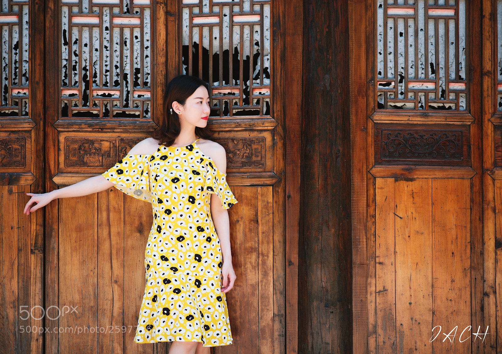 Nikon D750 sample photo. 拷贝 photography