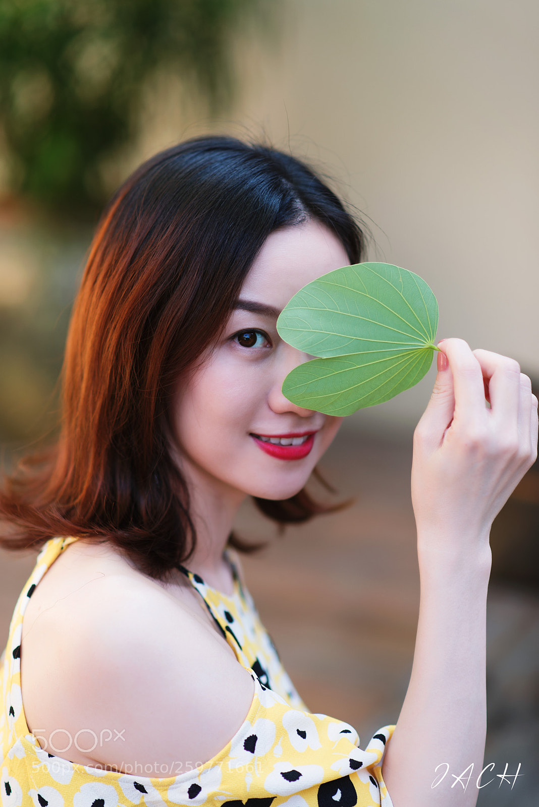 Nikon D750 sample photo. 拷贝 photography