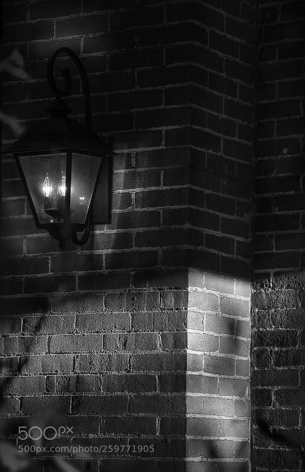 Nikon D7100 sample photo. Evening light photography