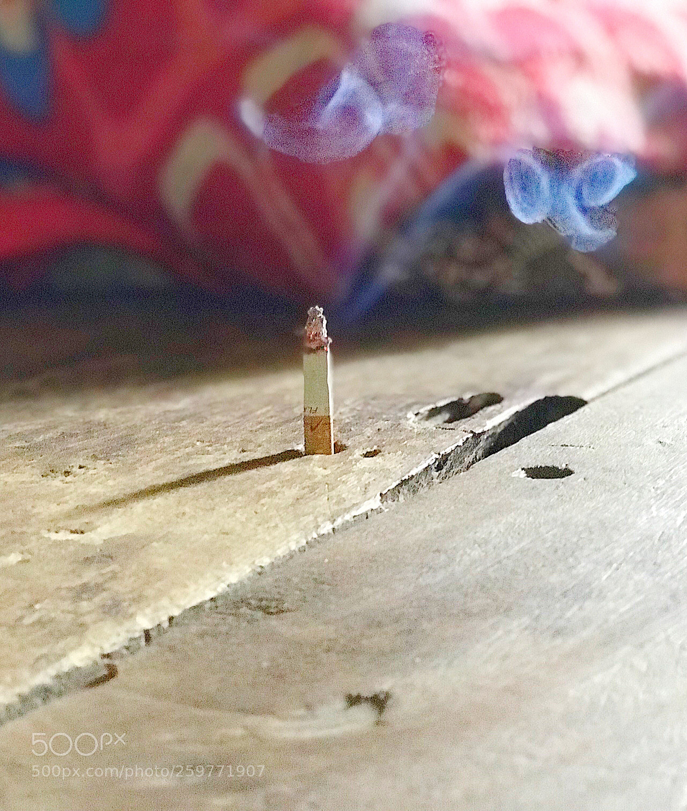 Apple iPhone 7 Plus sample photo. Untitled photography