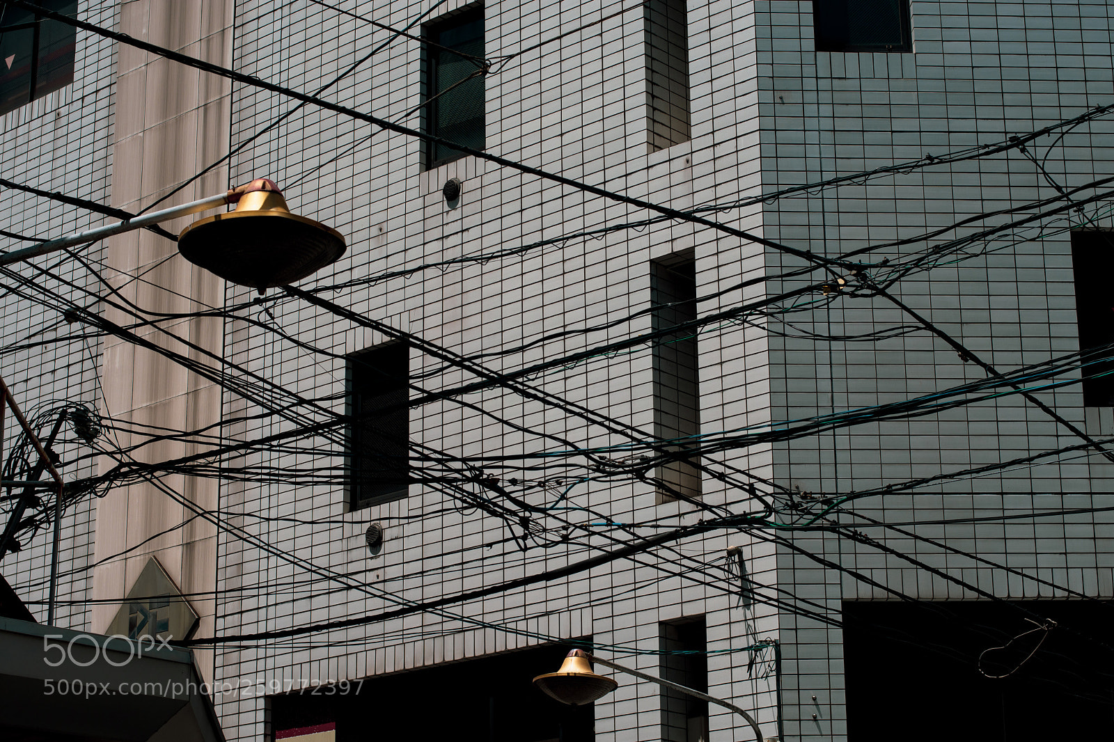 Nikon D7200 sample photo. Wire photography