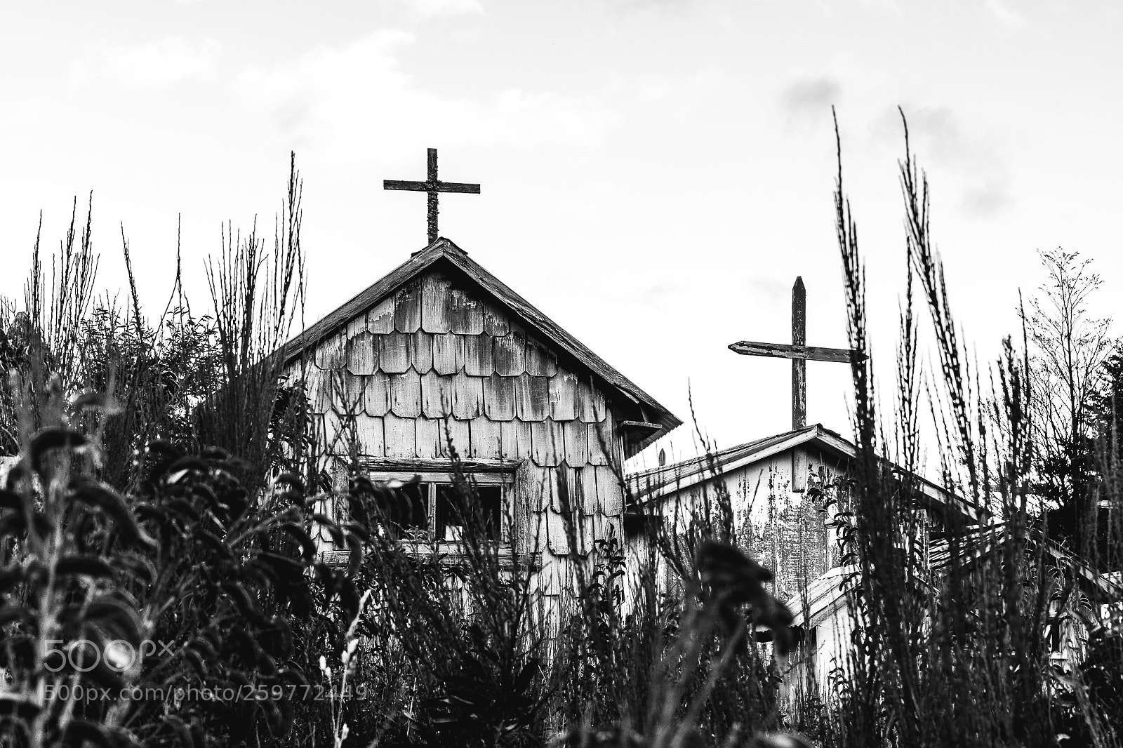 Nikon D500 sample photo. Countryside graveyard photography
