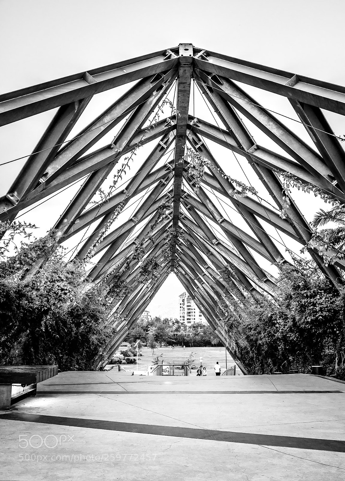 Nikon D500 sample photo. Parque araucano photography