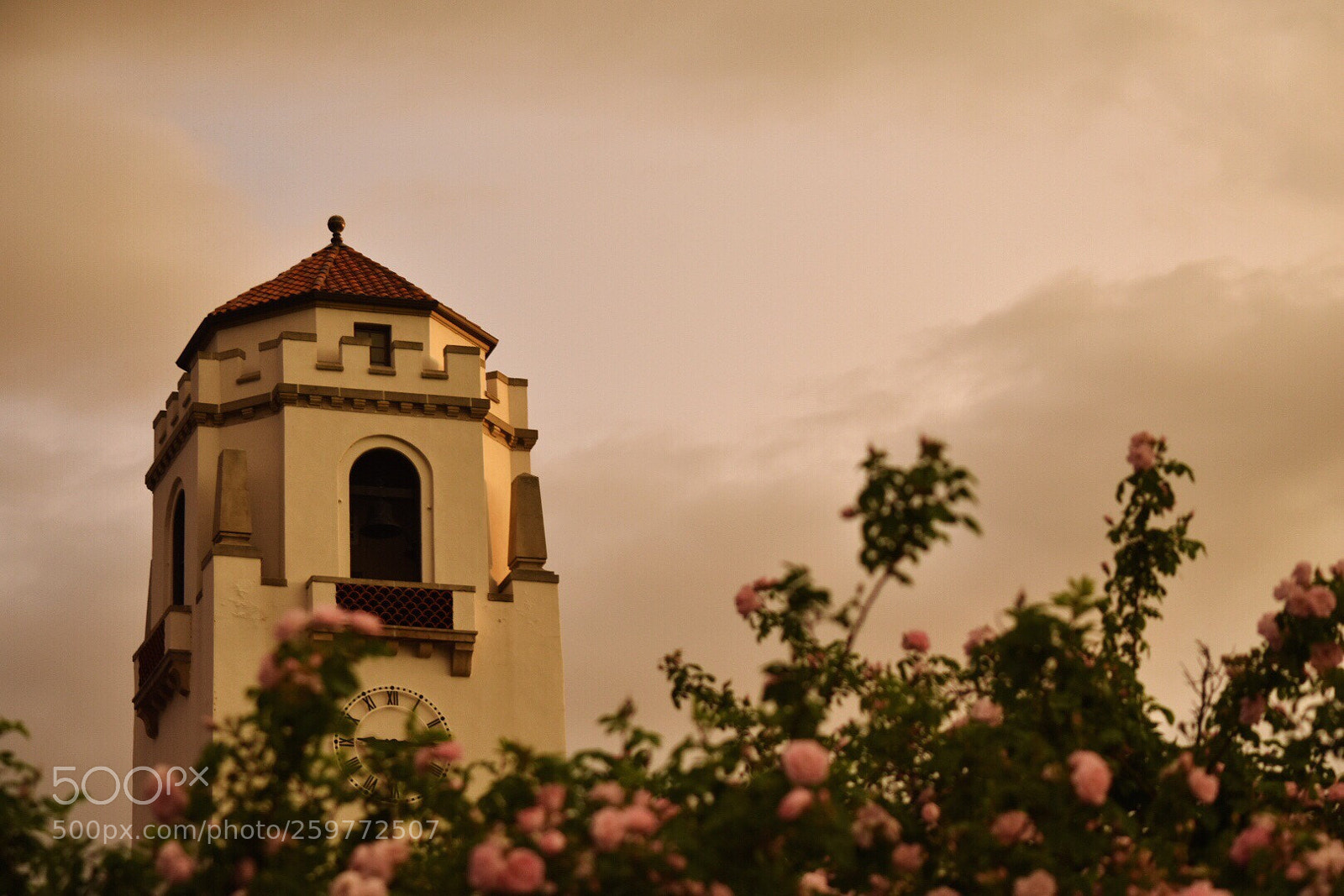 Nikon D3400 sample photo. Spring sunset in boise  photography