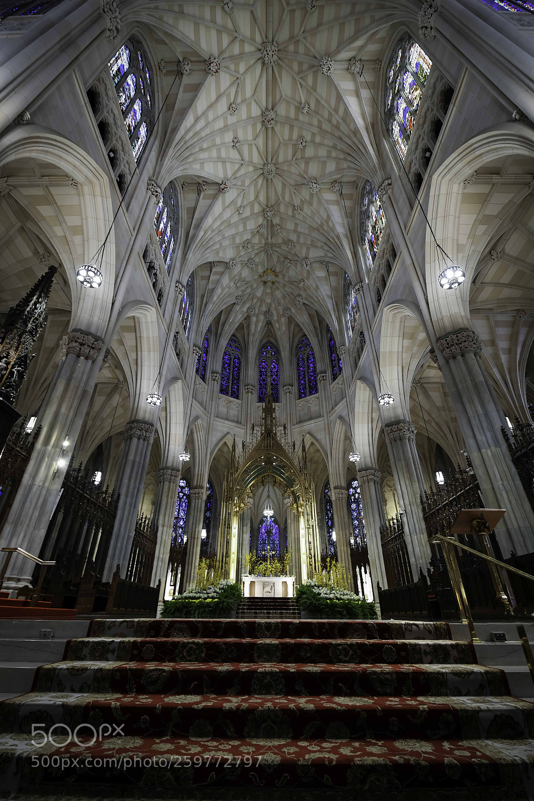 Nikon D850 sample photo. St. patrick s cathedral photography