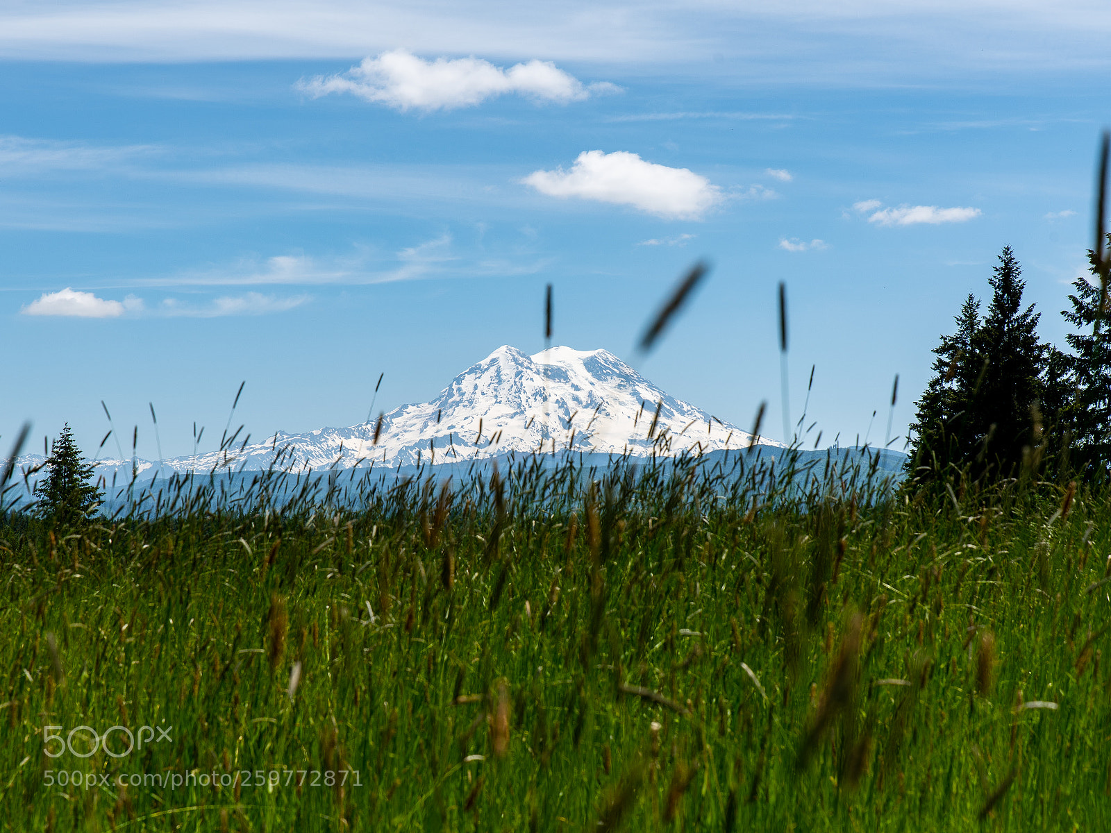 Nikon D750 sample photo. Mt rainier photography