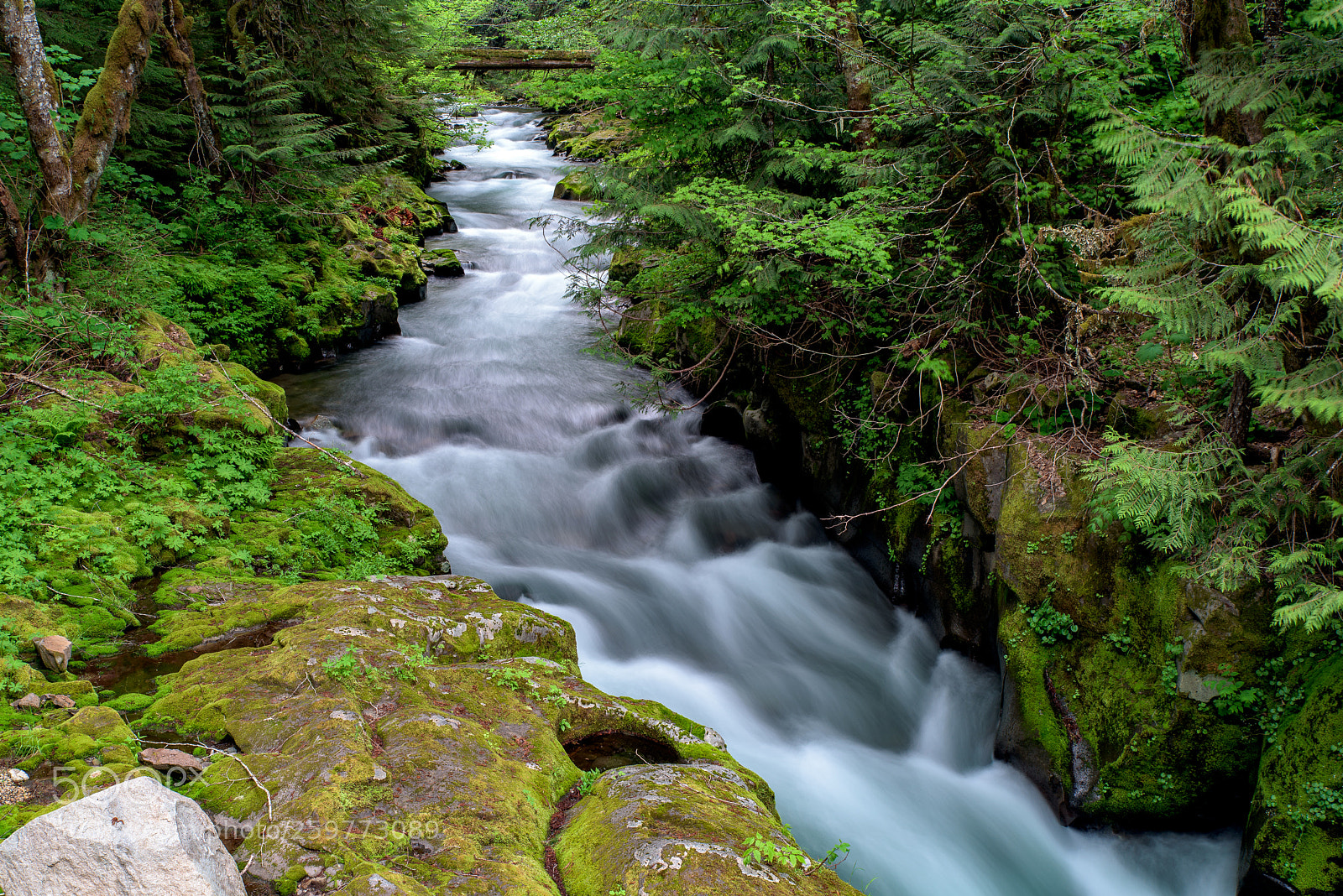 Nikon D750 sample photo. Stream photography