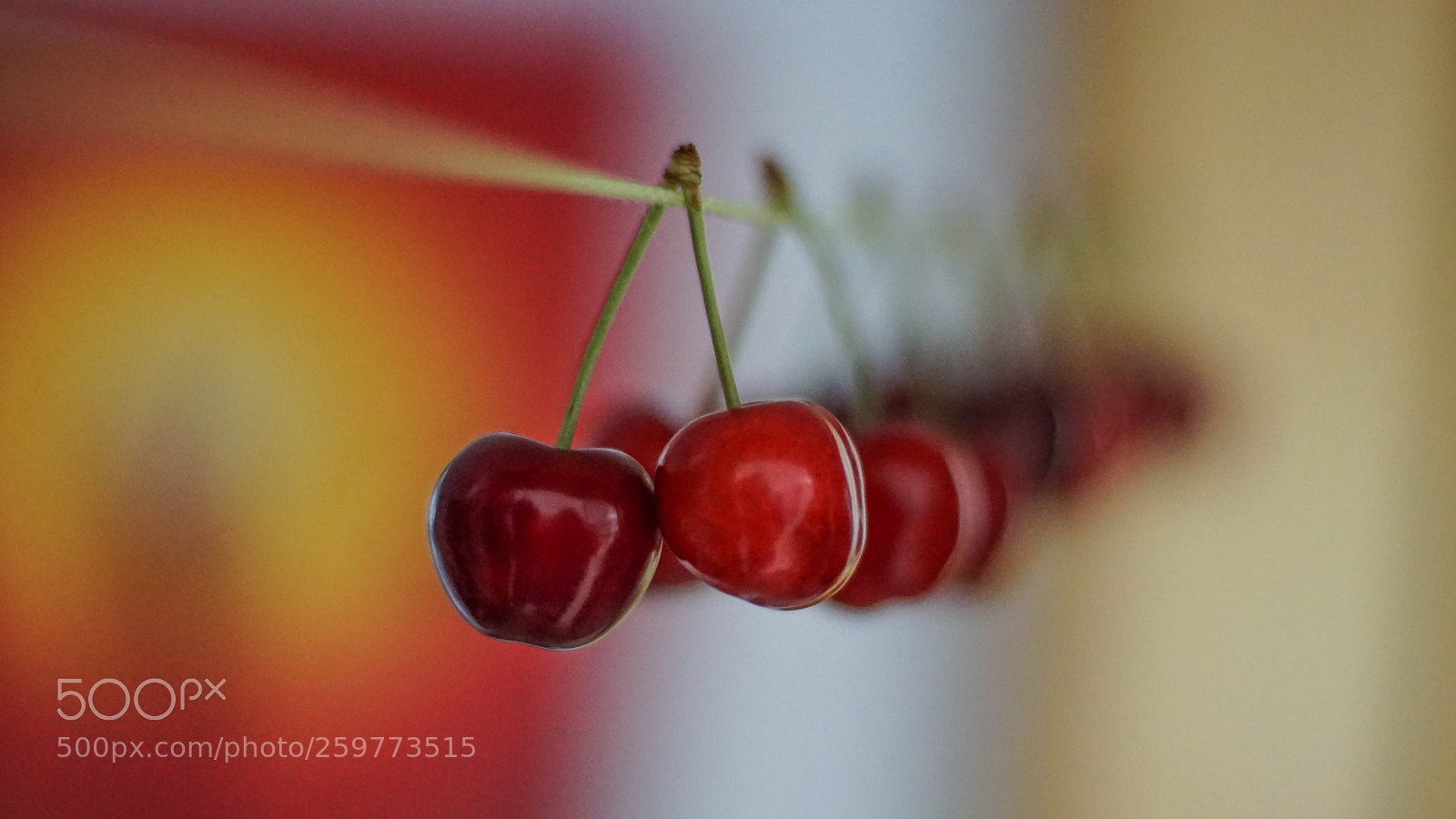 Sony a6000 sample photo. No.2 photography