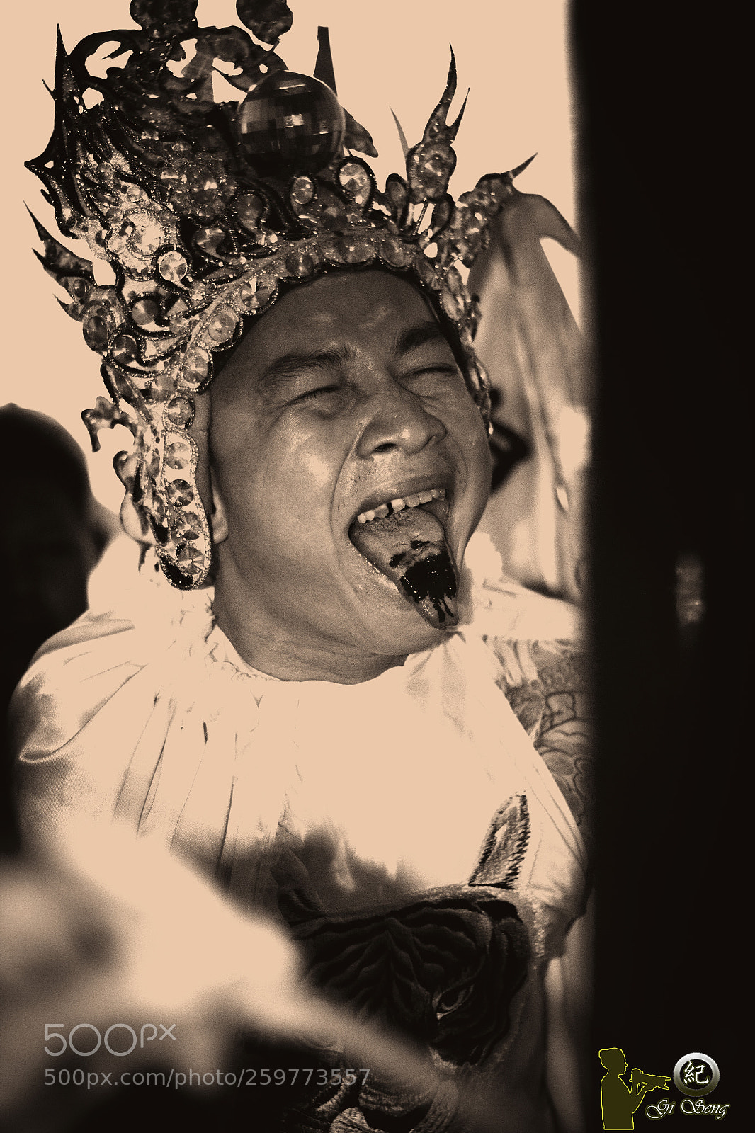 Canon EOS 7D sample photo. ខ្លា photography