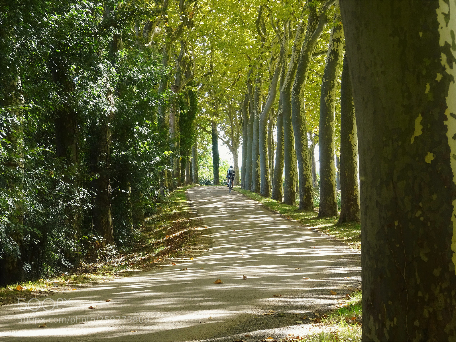 Sony Cyber-shot DSC-HX90V sample photo. Canal du midi photography