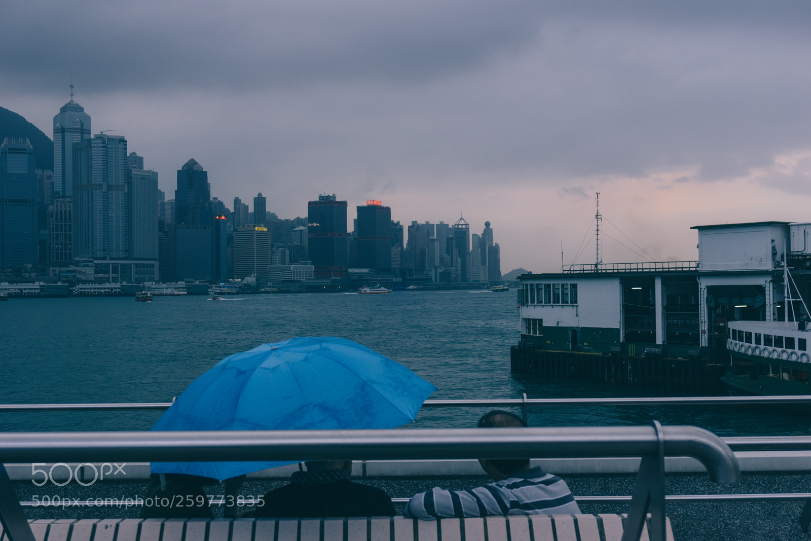 Sony a6000 sample photo. Untitled photography