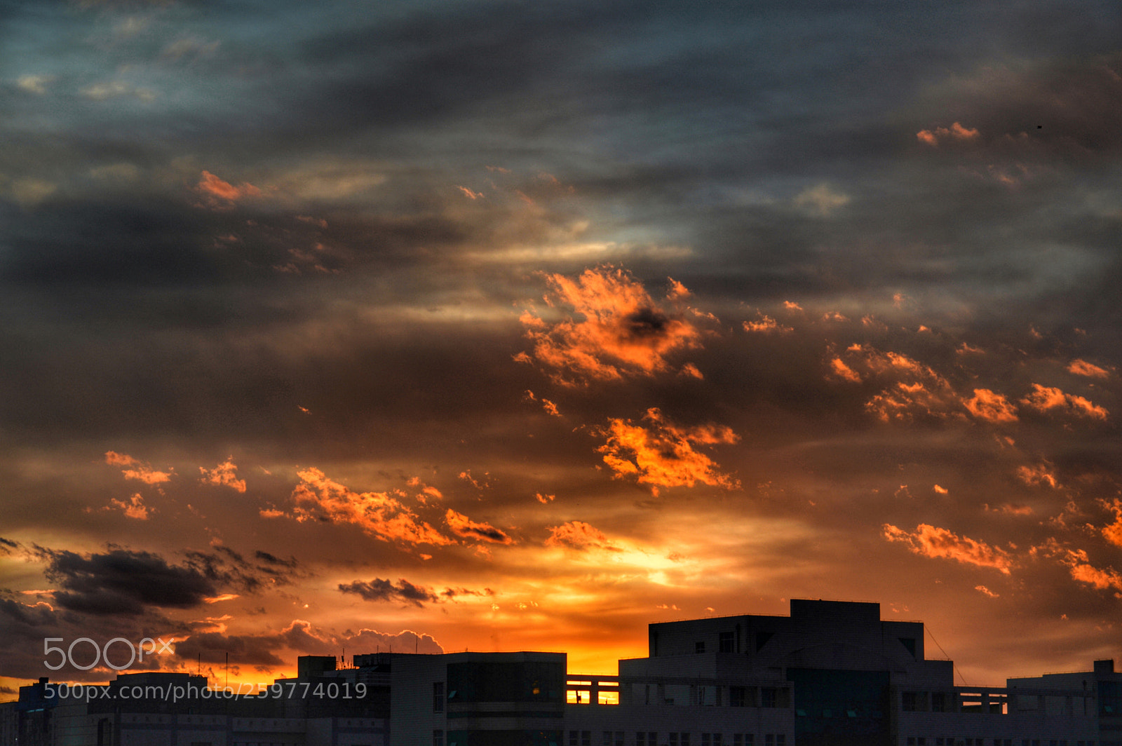 Nikon D3200 sample photo. The school's sunset photography