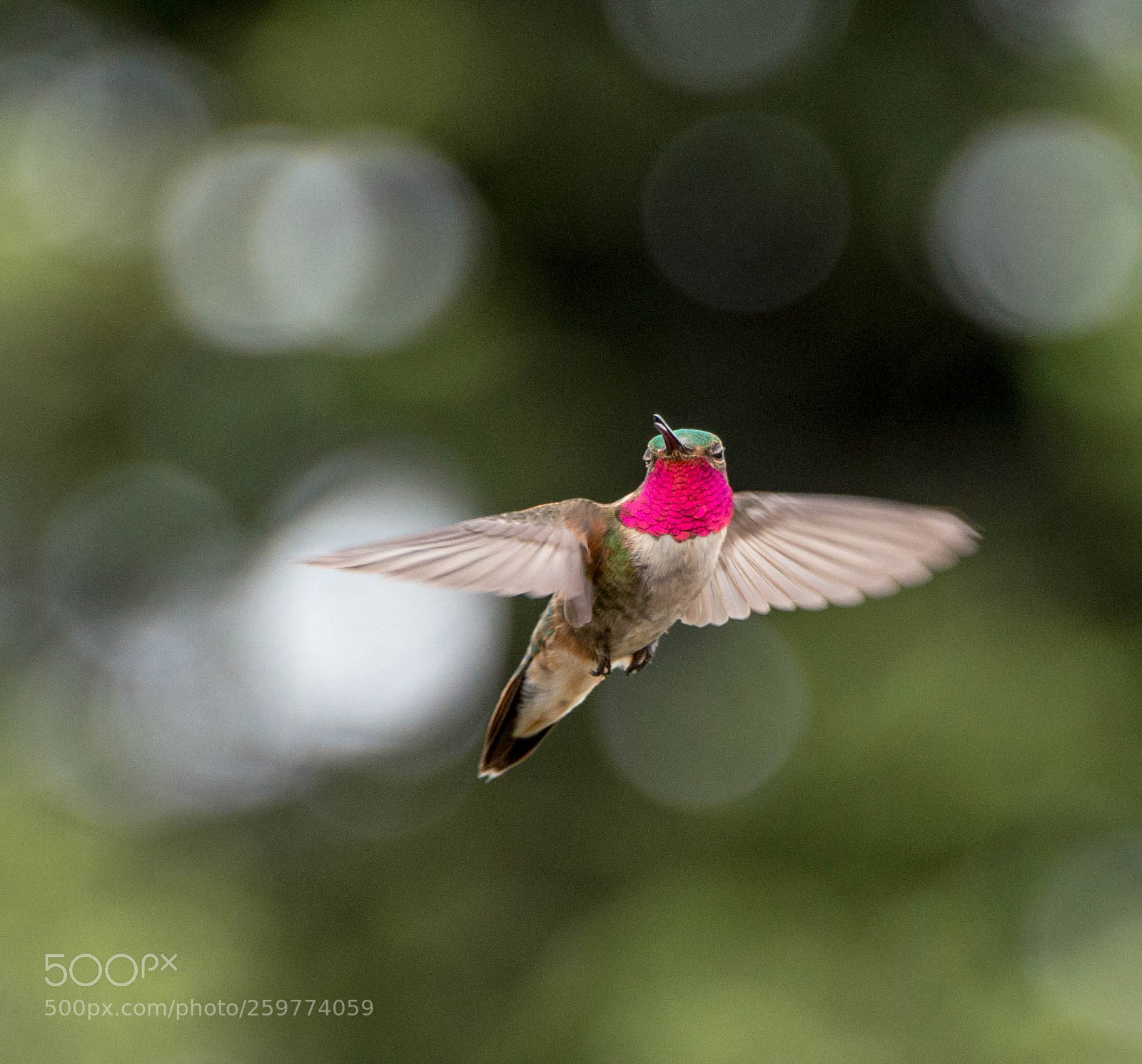 Nikon D800 sample photo. Sw photography