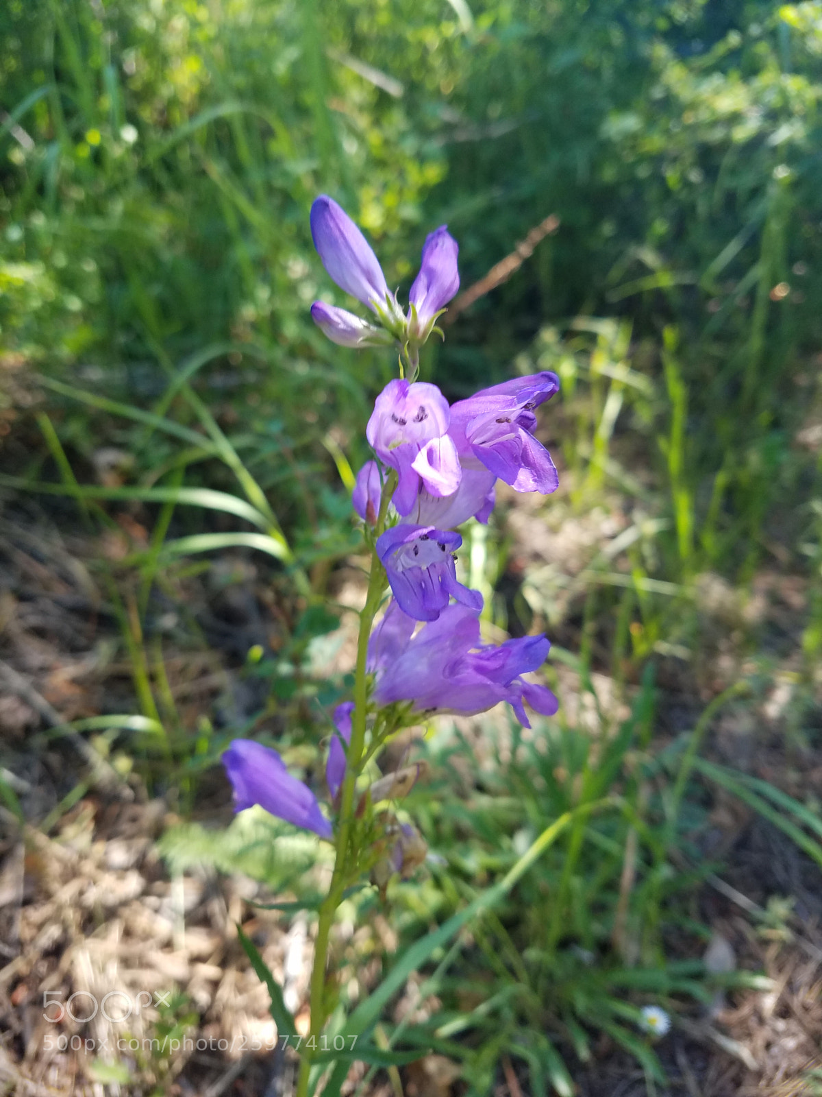 Samsung Galaxy S7 Edge sample photo. Untitled photography