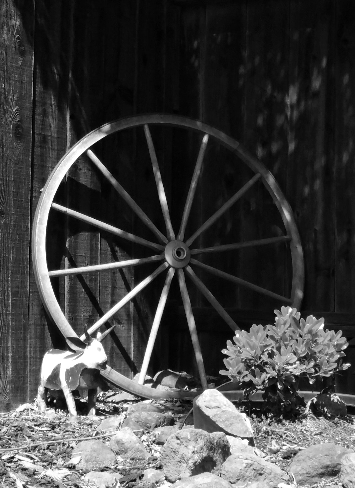 Samsung Galaxy Note4 sample photo. Old wagon wheel photography