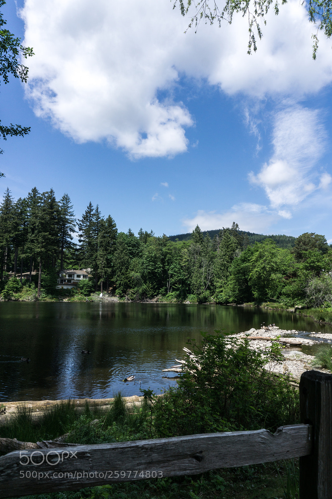 Sony a6000 sample photo. Nearby the lake photography