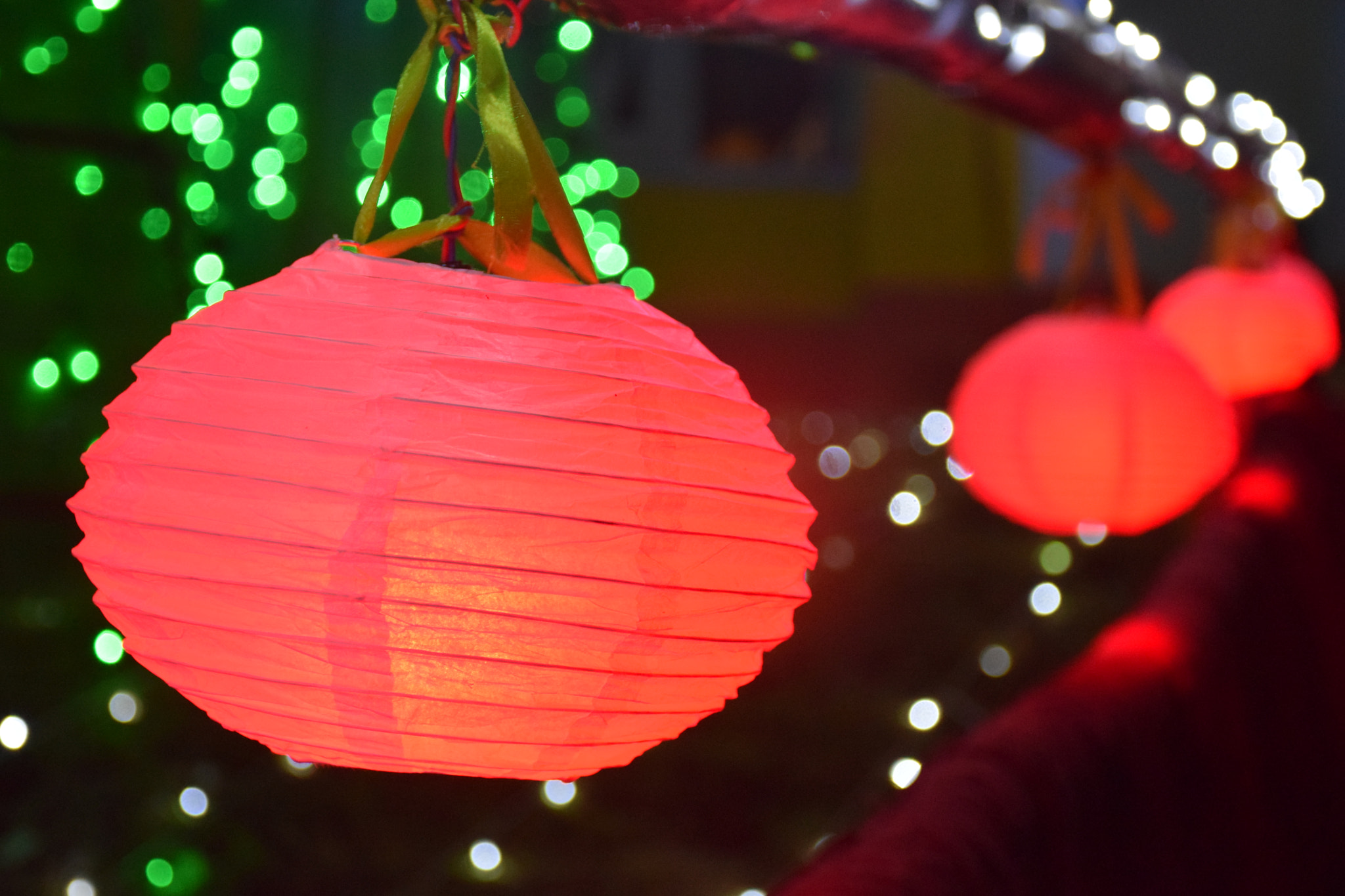 Nikon D5300 sample photo. Dsc photography