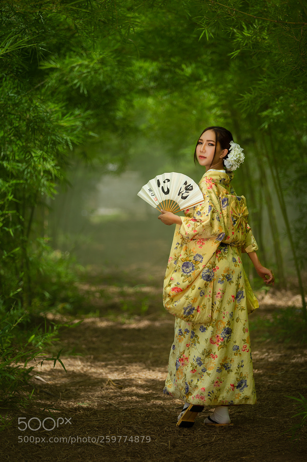 Canon EOS 6D sample photo. Japan traditional dress "kimono" photography