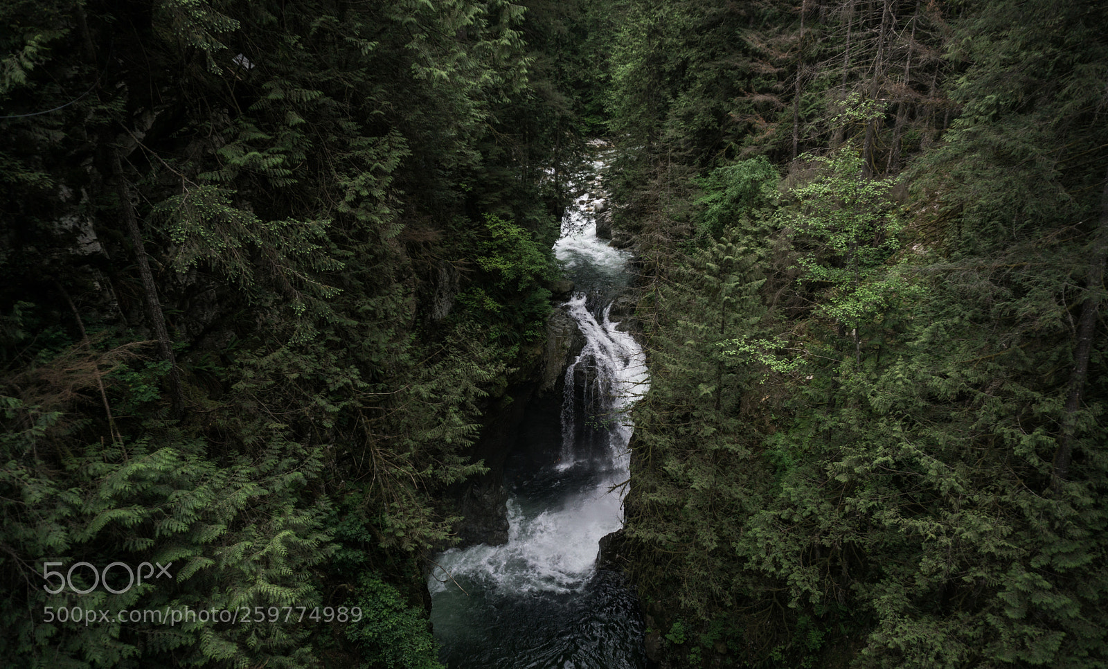 Sony a6000 sample photo. Lynn valley waterfall photography