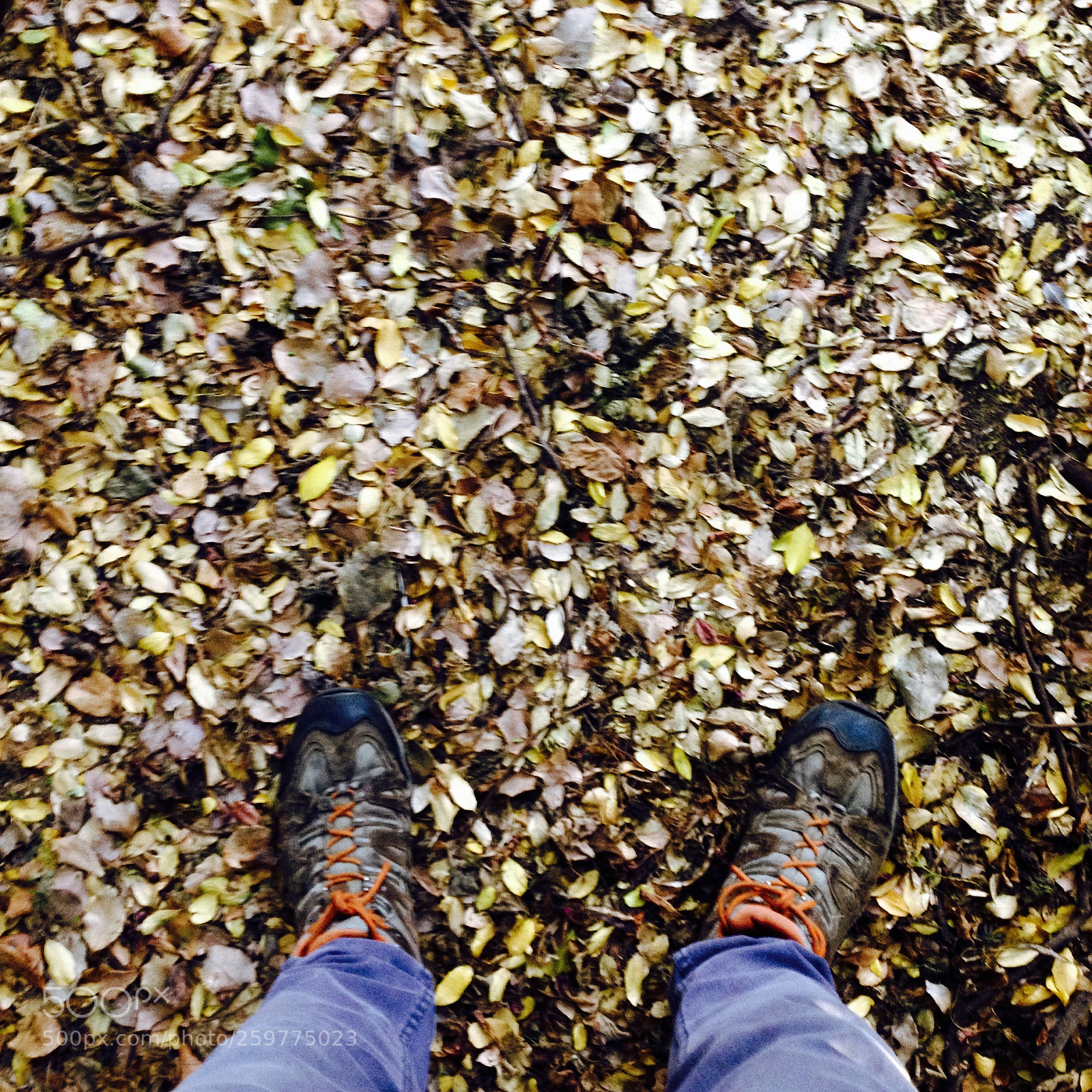 Apple iPhone 4S sample photo. Again () photography
