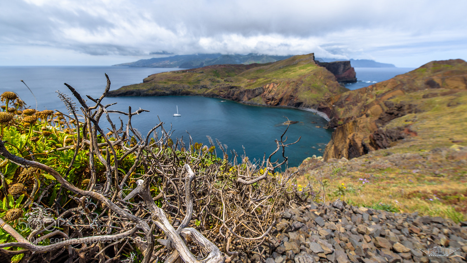 Nikon D750 sample photo. The island photography