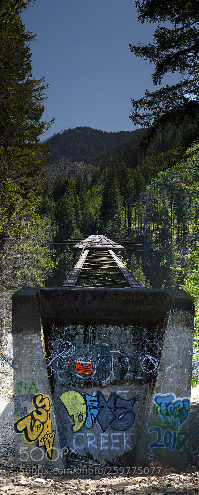 Nikon D700 sample photo. Vance creek bridge photography