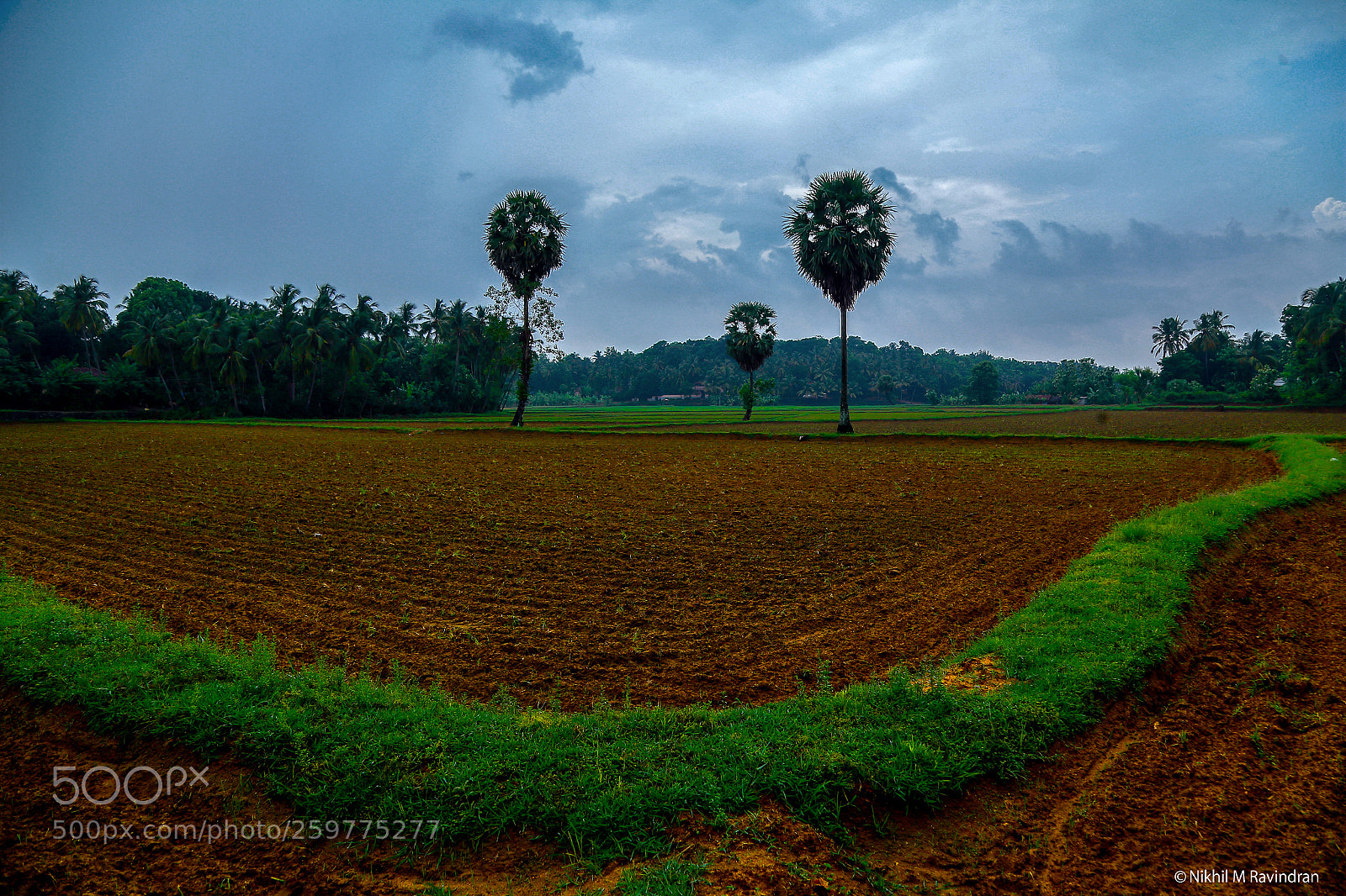 Canon EOS 6D sample photo. Beauty of kerala photography
