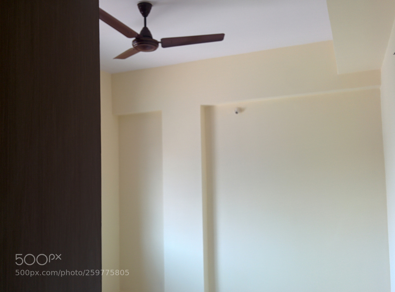 LG Nexus 5 sample photo. Lbr photography