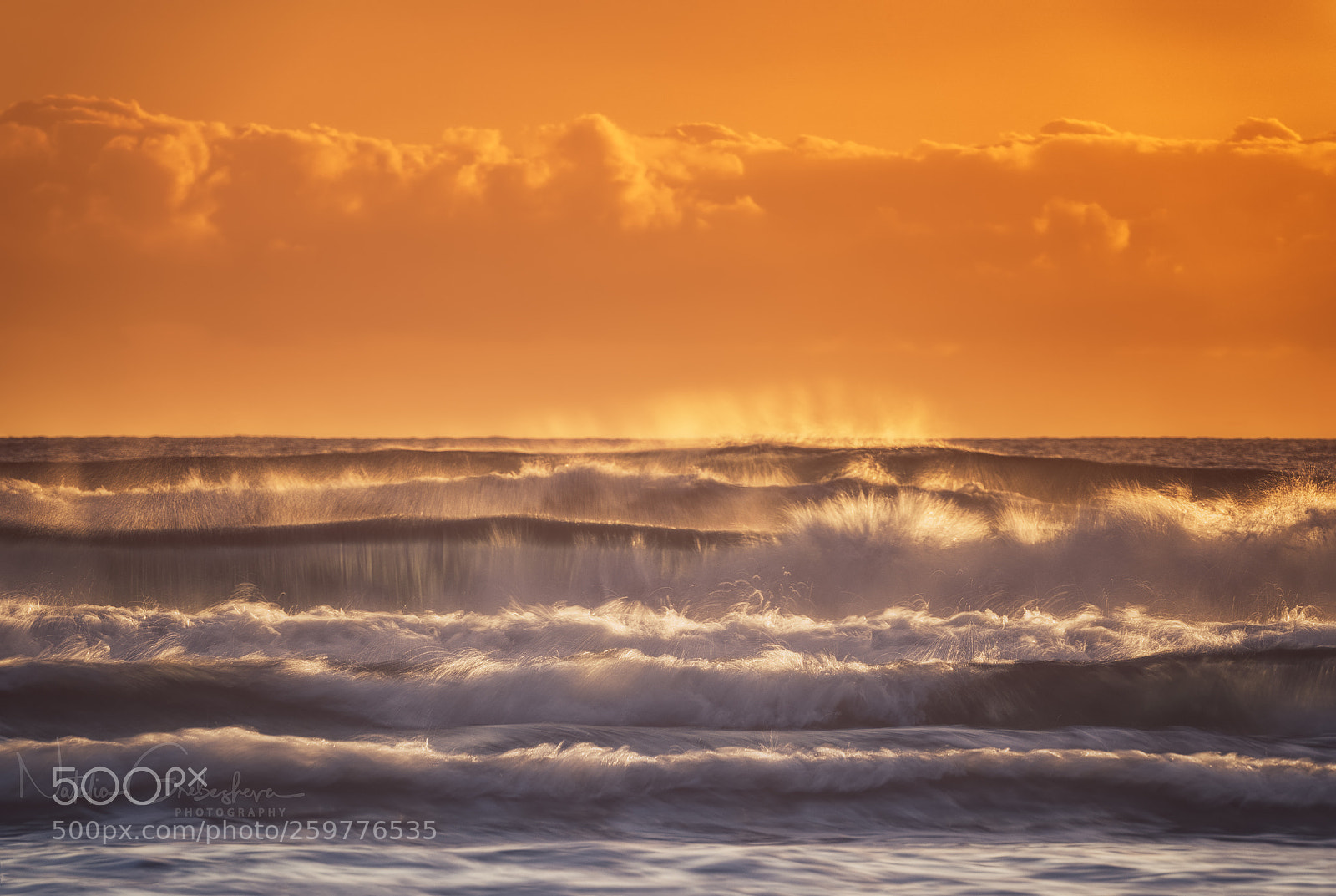 Sony a7R II sample photo. Golden sunrise photography