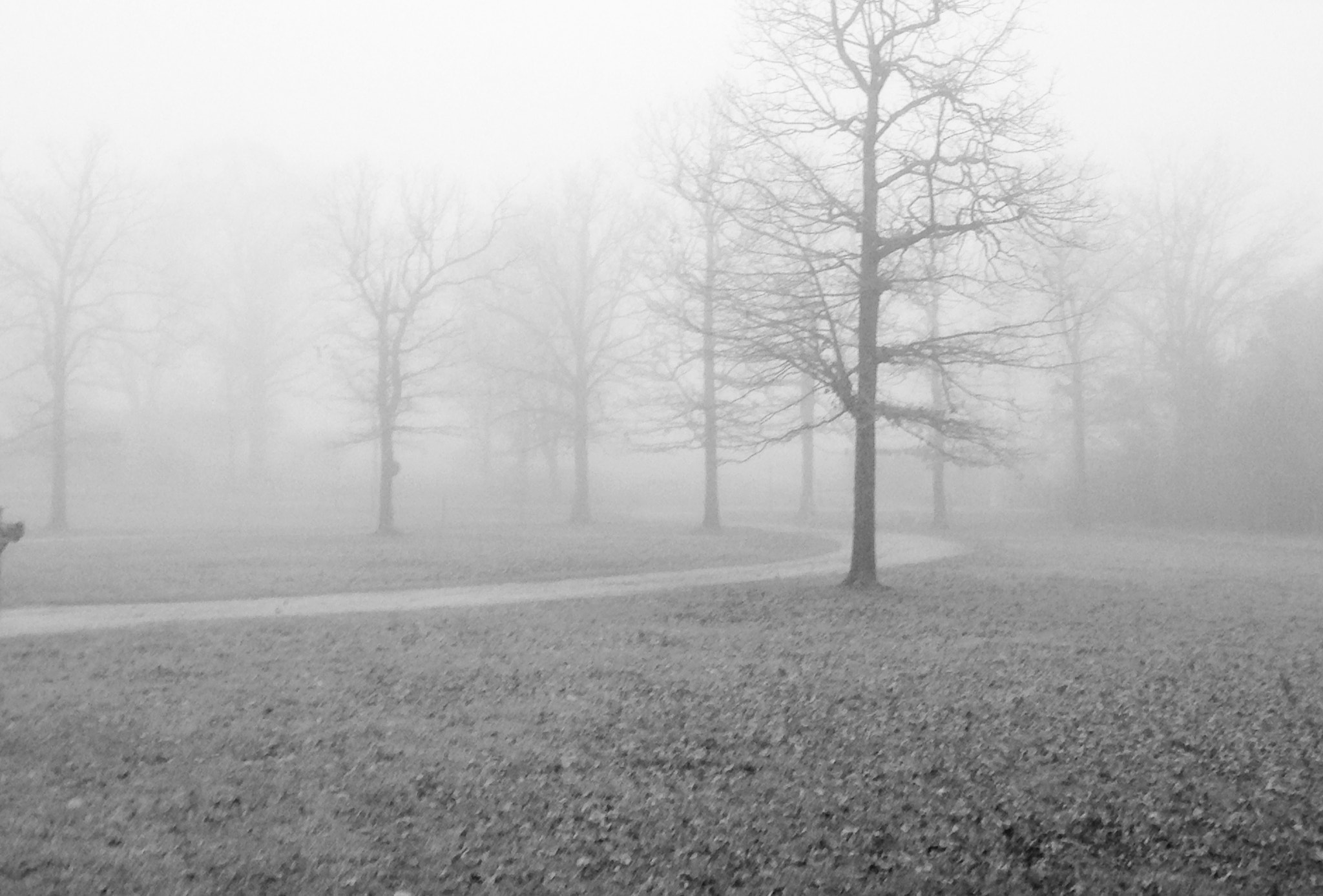 Apple iPhone 5c sample photo. Mist photography