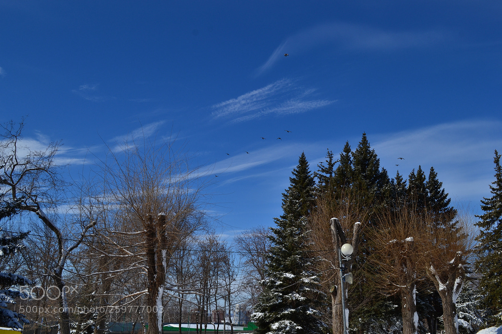Nikon D3100 sample photo. Waiting for spring photography