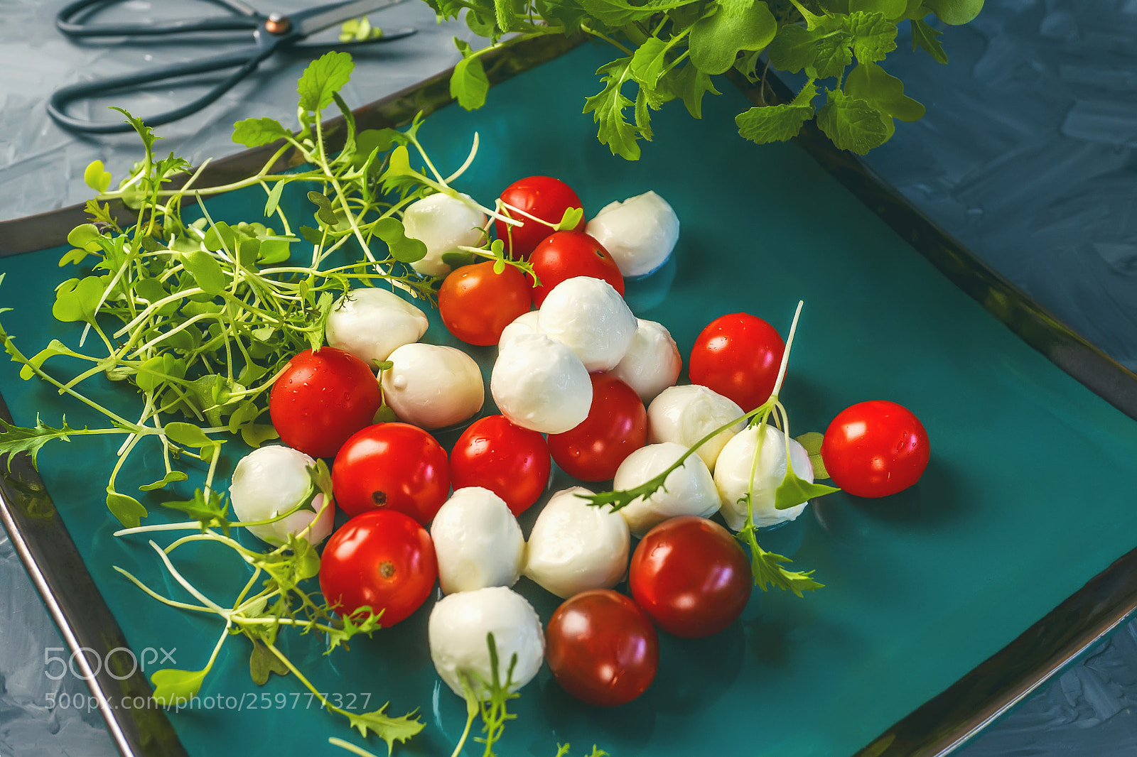Sony Alpha NEX-6 sample photo. Mozzarella and tomatoes with photography