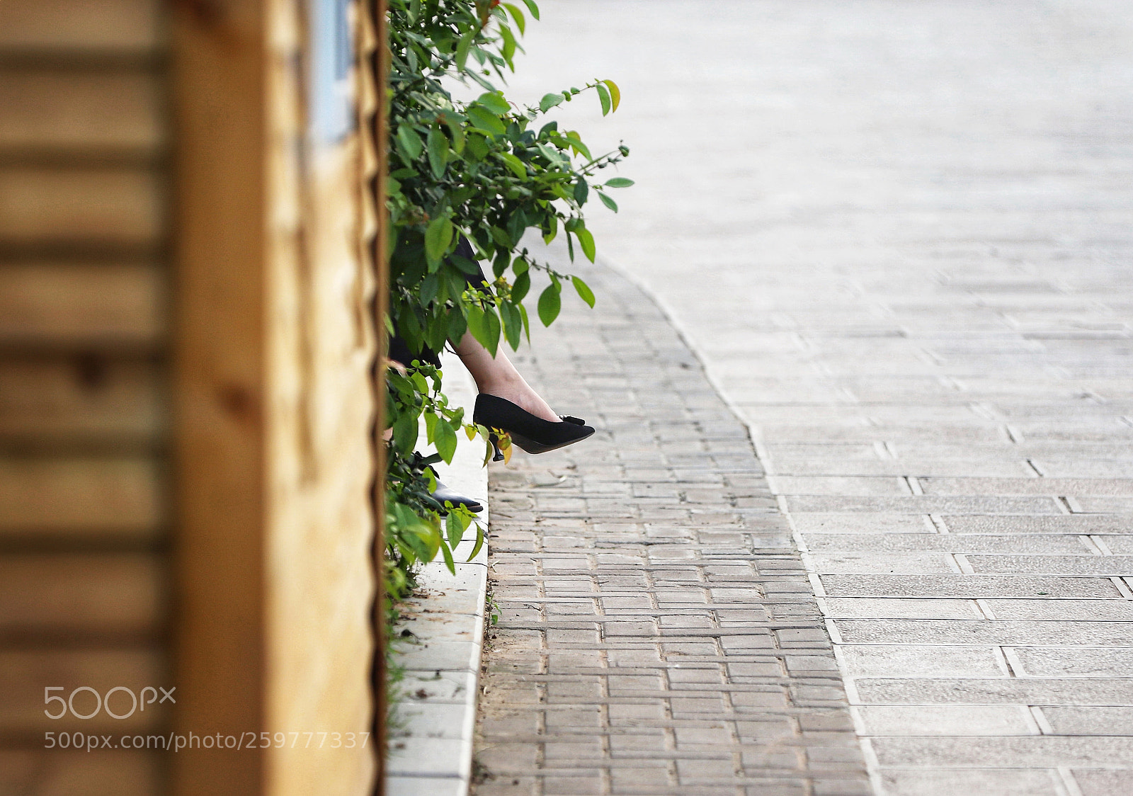 Canon EOS 6D Mark II sample photo. 木屋那头 photography