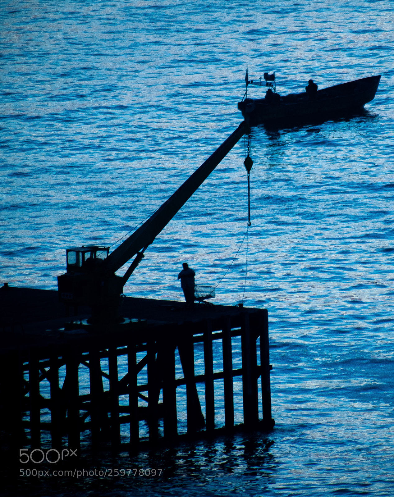 Nikon D5300 sample photo. Caleta portales photography