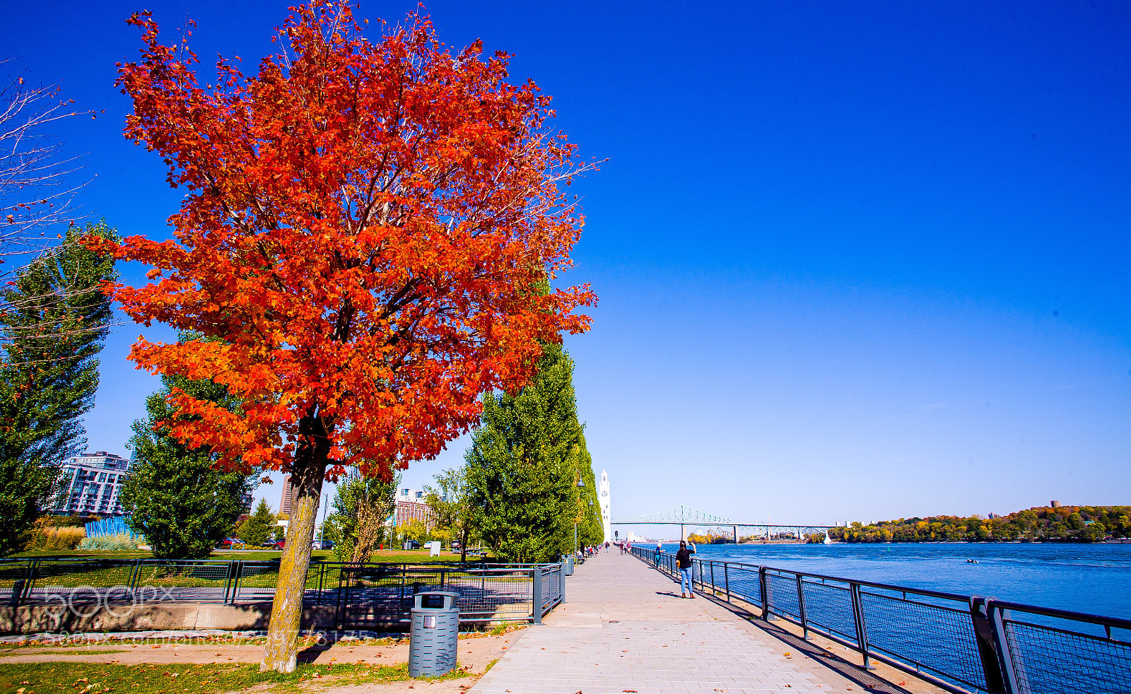 Canon EOS 5D sample photo. Old port montreal autumn 2017 photography